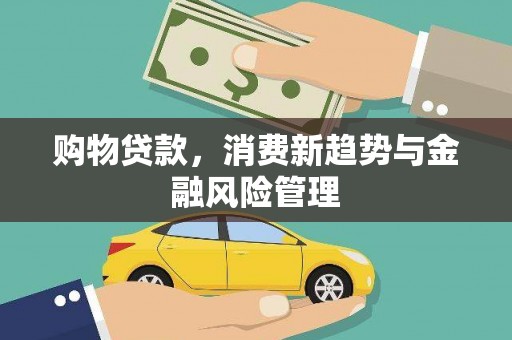 武进购物贷款，消费新趋势与金融风险管理