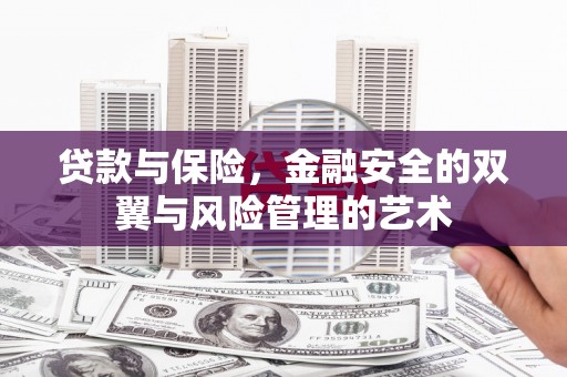 修水贷款与保险，金融安全的双翼与风险管理的艺术