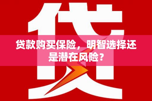 金坛贷款购买保险，明智选择还是潜在风险？