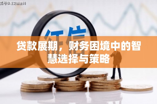 沈河贷款展期，财务困境中的智慧选择与策略