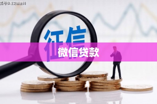 洋县微信贷款