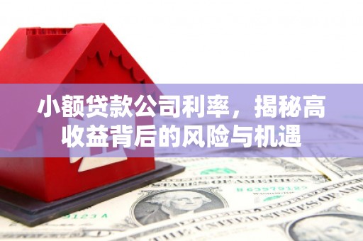 西丰小额贷款公司利率，揭秘高收益背后的风险与机遇