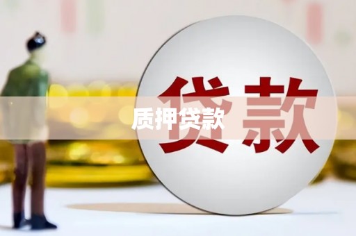 阜康质押贷款