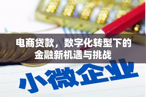 文昌电商贷款，数字化转型下的金融新机遇与挑战