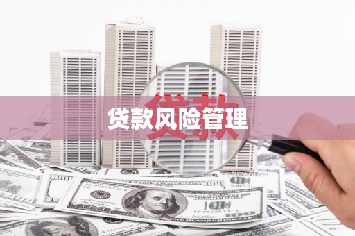 明溪贷款风险管理