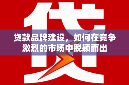 宁波贷款品牌建设，如何在竞争激烈的市场中脱颖而出
