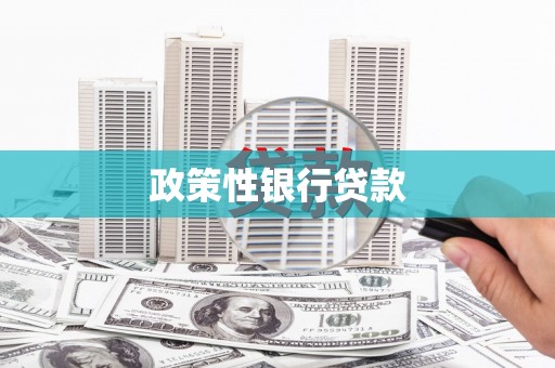 郊区政策性银行贷款