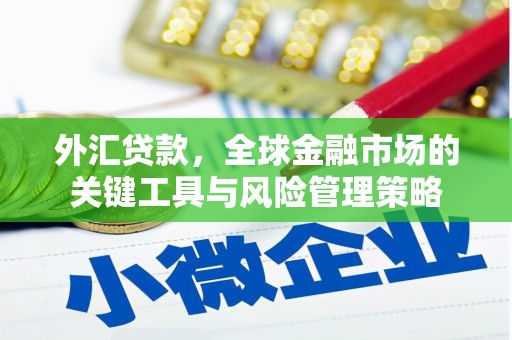 抚顺外汇贷款，全球金融市场的关键工具与风险管理策略