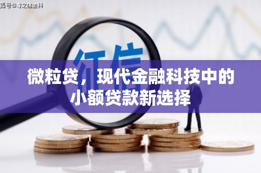丽水微粒贷，现代金融科技中的小额贷款新选择