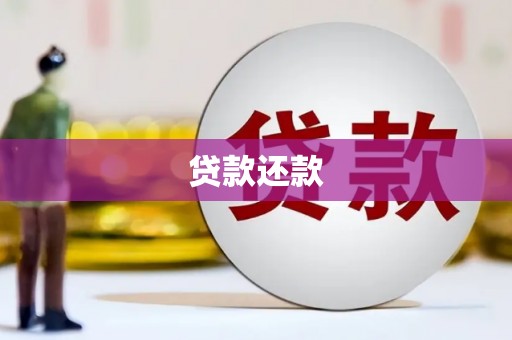 成县贷款还款