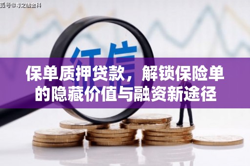 水上保单质押贷款，解锁保险单的隐藏价值与融资新途径
