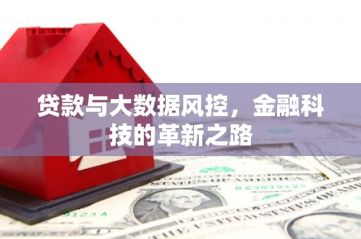 张湾贷款与大数据风控，金融科技的革新之路