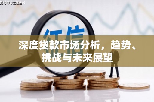 永新深度贷款市场分析，趋势、挑战与未来展望