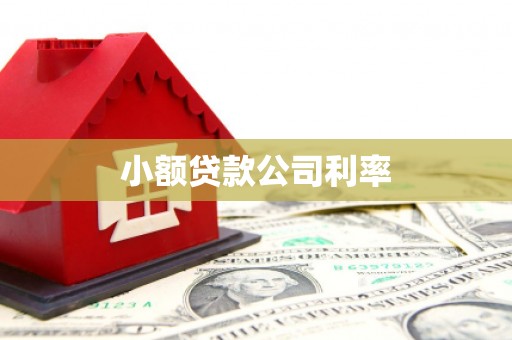 四平小额贷款公司利率