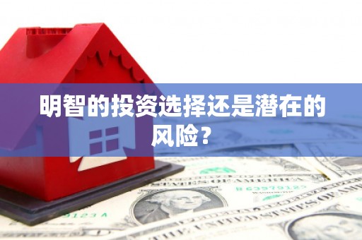崇明明智的投资选择还是潜在的风险？