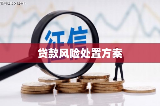 青神贷款风险处置方案