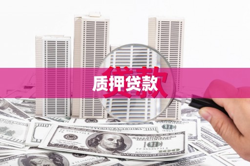 资源质押贷款