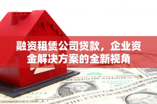 稻城融资租赁公司贷款，企业资金解决方案的全新视角