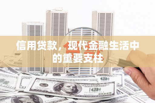 左云信用贷款，现代金融生活中的重要支柱