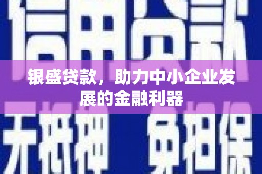 大里银盛贷款，助力中小企业发展的金融利器