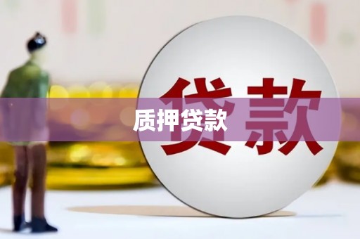 博山质押贷款