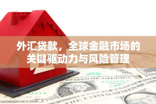 西海岸外汇贷款，全球金融市场的关键驱动力与风险管理
