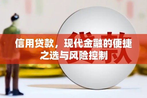 汕尾信用贷款，现代金融的便捷之选与风险控制
