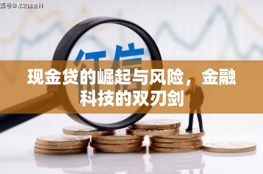 昌宁现金贷的崛起与风险，金融科技的双刃剑