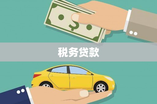 新河税务贷款