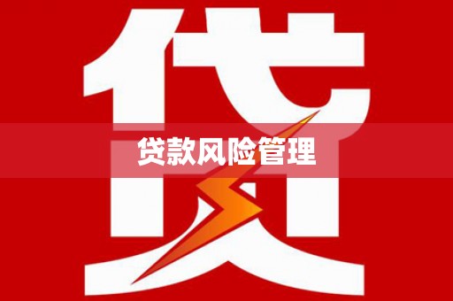 蕲春贷款风险管理