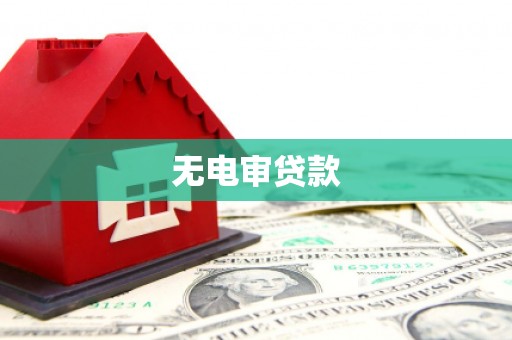 泸水无电审贷款
