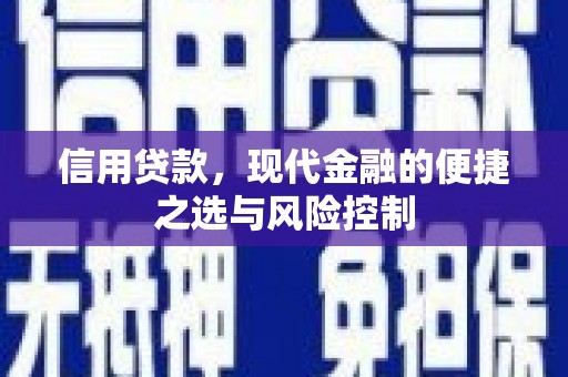邯山信用贷款，现代金融的便捷之选与风险控制