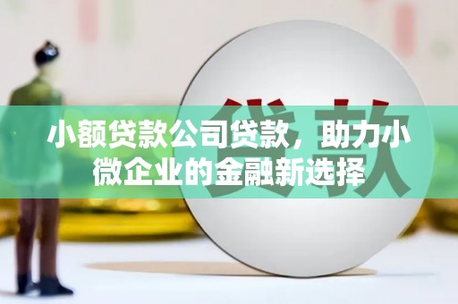 滦县小额贷款公司贷款，助力小微企业的金融新选择