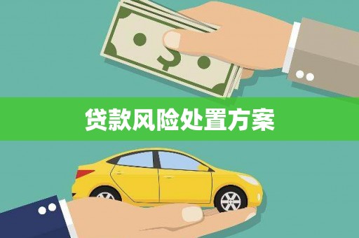 唐山贷款风险处置方案