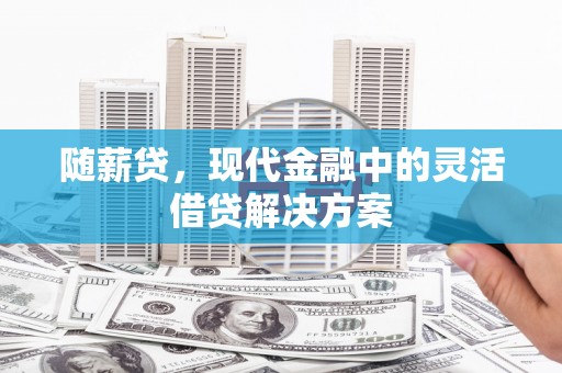 邵东随薪贷，现代金融中的灵活借贷解决方案