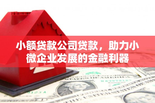 凉山小额贷款公司贷款，助力小微企业发展的金融利器