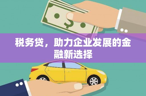 望奎税务贷，助力企业发展的金融新选择