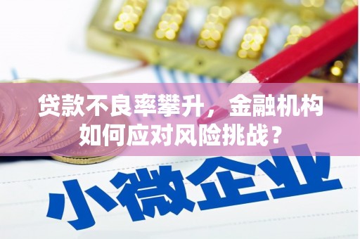 秀山贷款不良率攀升，金融机构如何应对风险挑战？