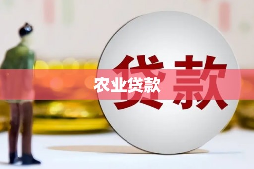 江川农业贷款