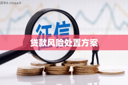 昌都贷款风险处置方案