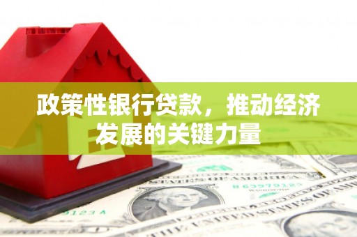 三穗政策性银行贷款，推动经济发展的关键力量
