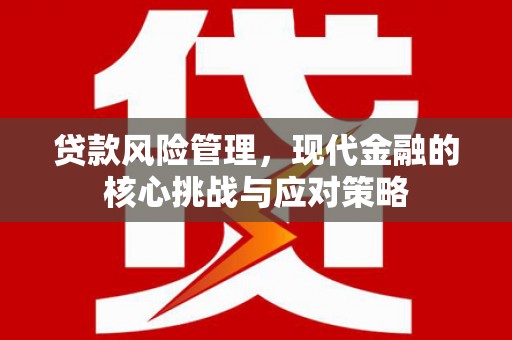 喜德贷款风险管理，现代金融的核心挑战与应对策略