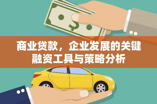 苍溪商业贷款，企业发展的关键融资工具与策略分析