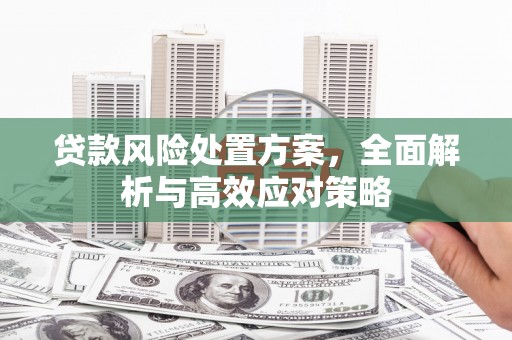 巩留贷款风险处置方案，全面解析与高效应对策略