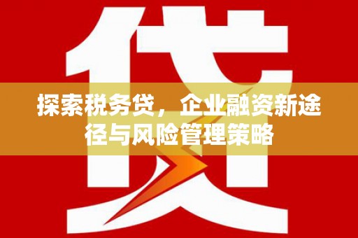 长葛探索税务贷，企业融资新途径与风险管理策略