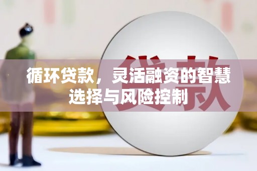 闸北循环贷款，灵活融资的智慧选择与风险控制