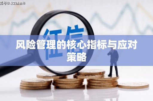 惠安风险管理的核心指标与应对策略