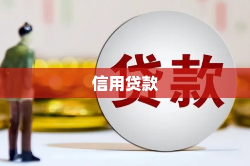 安乡信用贷款