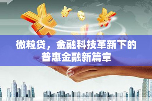 普格微粒贷，金融科技革新下的普惠金融新篇章