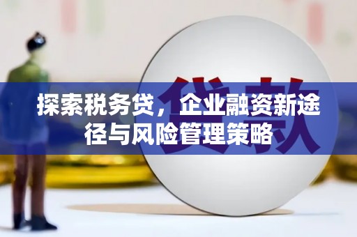 太和探索税务贷，企业融资新途径与风险管理策略